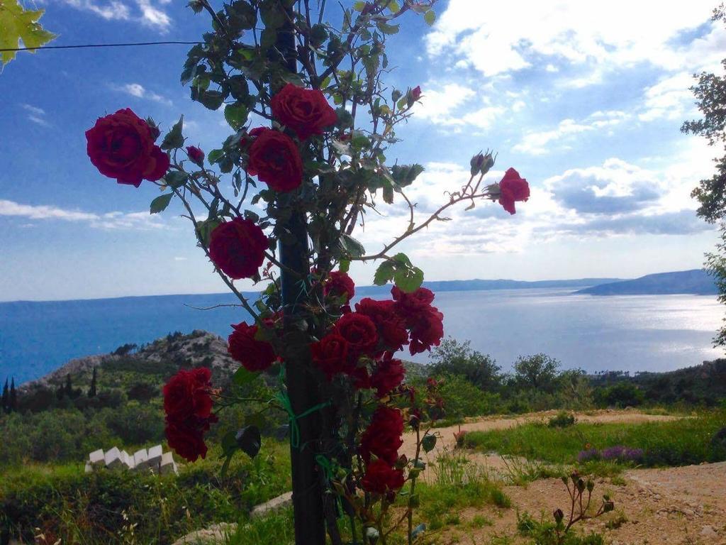 Apartments Aman Makarska Bagian luar foto